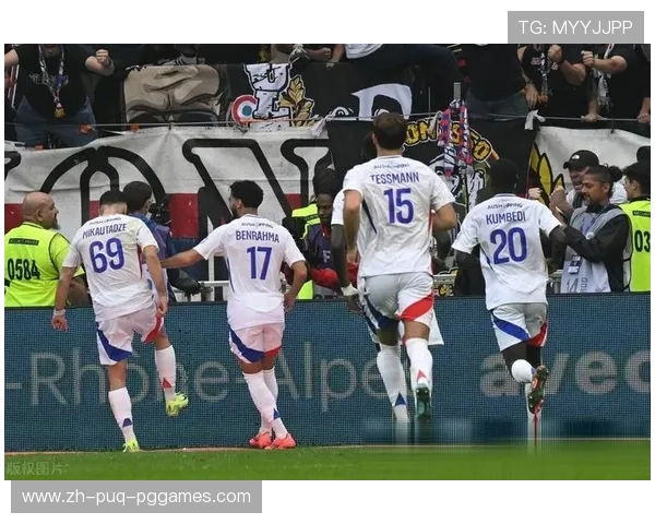 法甲里昂足球队：里昂足球队的历史成就与当前表现 (2)