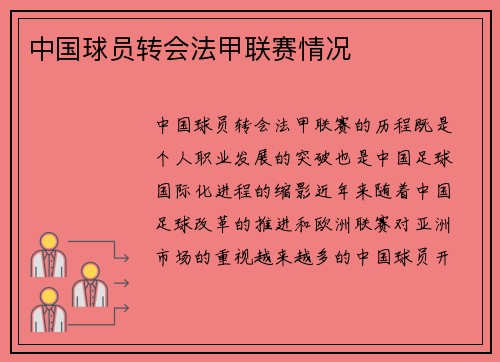 中国球员转会法甲联赛情况