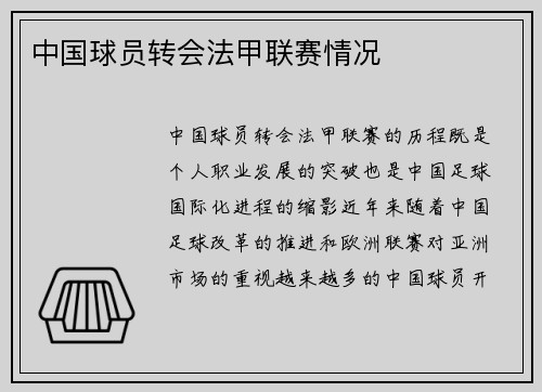 中国球员转会法甲联赛情况